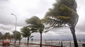 طقس الإسكندرية.. موجة صقيع تضرب المحافظة وتوقعات بهطول أمطار غزيرة اليوم